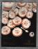 Christie`s - Auction Catalogue - `European Ceramics` - St James`s,London - New York - Tues/Wed 25th/26th October 1994