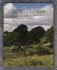Christie`s Auction Catalogue - `Hanham Court, A Pastoral Idyll` - South Kensington - Wednesday 14th April 2010