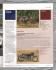 Bonhams - Ignition Magazine - Issue 12 - Autumn/Winter 2009
