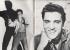 Elvisly Yours: Official Photo Album and Catalogue - No.2 - Spring 1981 - `The King...was he in England?` - Published by Elvisly Yours