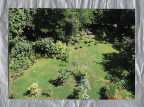 `Jeremy`s Garden - Ullet Road - 2011` - Liverpool - Postally Unused - Self Produced Postcard