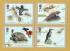 U.K - PHQ Cards - 320 Set - Issued 12th February 2010 - 6 Stamp Cards + 4 Stamp Cards + 1 Overview Card - Charles Darwin Issue - Unused