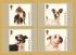 U.K - PHQ Cards - 333 Set - Issued 11th March 2010 - 10 Stamp Cards - Battersea Dogs and Cats Issue - Unused