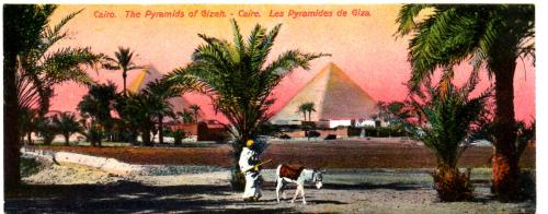 `Cairo. The Pyramids of Gizeh - Caire. Les Pyramides de Giza` - Postally Unused - M.Castro Postcard