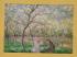 `Spring - Claude Monet` - Postally Unused - The Medici Society Ltd Postcard.