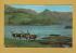 `Royal Stag in Velvet, Scottish Highlands` - Postally Used - Pitlochry 5th August 1976 Perthshire with Slogan - Photo Precision Ltd Postcard.