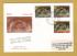 Eire - FDC - 11th November 1976 - `Christmas 1976` Cover - First Day Cover