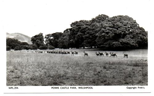 `WPL 29a Powis Castle Park, Welshpool` - Postally Unused - Frith`s Postcard.