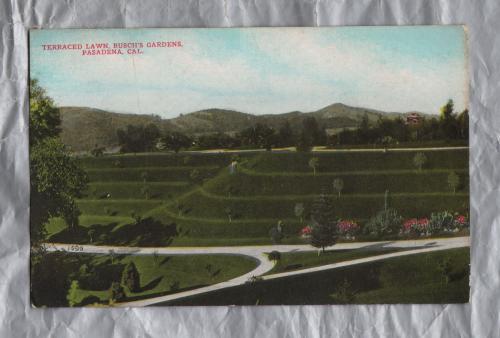 `Terraced Lawn, Busch`s Gardens, Pasadena, Cal` - Postally Unused - Benham Company Postcard