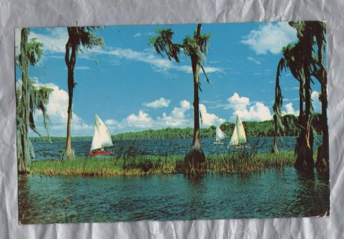 Lake In Florida - Postally Used - Marco FLA ???? ??? Postmark - Plastichrome Postcard
