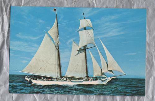 `Square Topsail Schooner "Shenandoah"` - Postally Unused - Coastwise Packet Co. Postcard