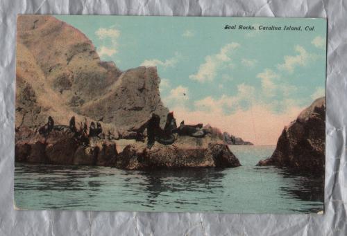 `Seal Rocks, Catalina Island, Cal` - Postally Unused - The Benham Co Postcard