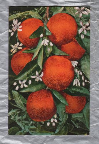 `1332 California Oranges` - Info Postcard - Postally Unused - Edward H.Mitchell Postcard