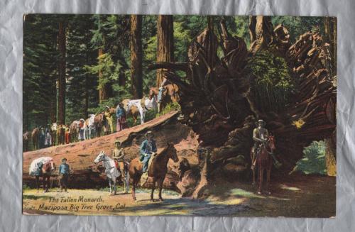 `The Fallen Monarch. Mariposa Big Tree Grove, Cal` - Postally Unused - Chas Weidner Postcard