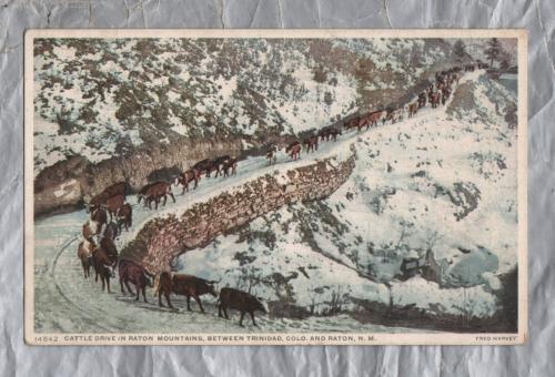 `14842 Cattle Drive In Raton Mountains, Between Trinidad, Colo And Raton, N.M.` - Postally Unused - Fred Harvey Postcard