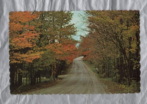 `East Shore Road, Grand Isle, Vermont` - Postally Used - Amherst September 26 1983 - Russ White Enterprises Postcard